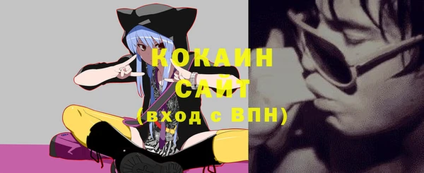 прущие грибы Няндома