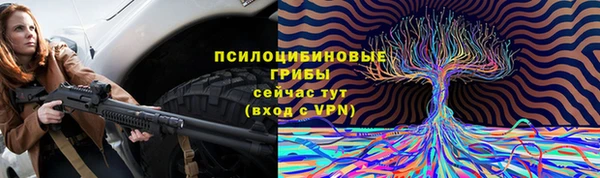 прущие грибы Няндома