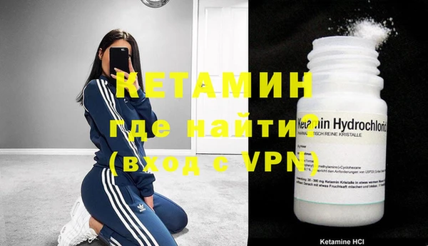 прущие грибы Няндома
