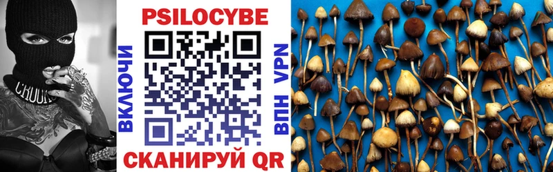 Псилоцибиновые грибы Cubensis Нариманов
